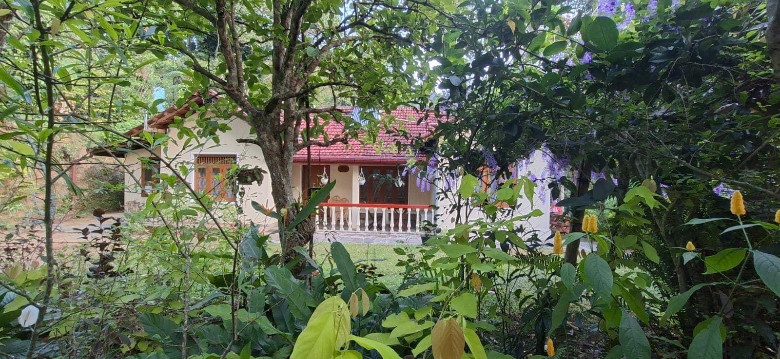 The Pepper Cottage with its terracotta roof, half hidden behind flowering shrubs and jungle trees